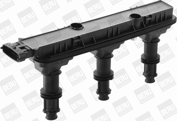 Ignition Coil (WG1487614)