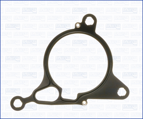 Gasket, vacuum pump (WG1448720)