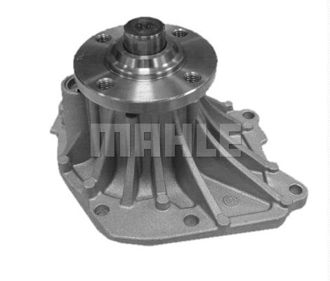 Water Pump, engine cooling (WG2181473)