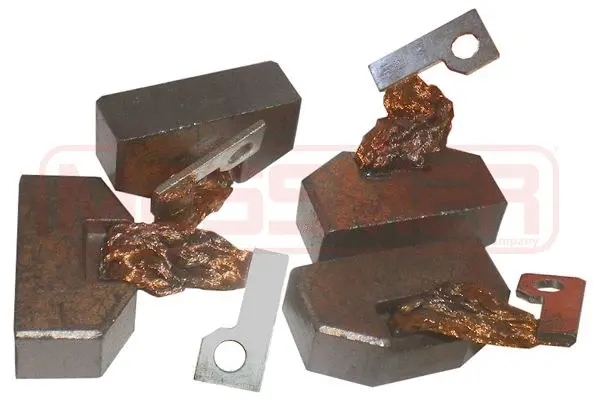 Carbon Brush, starter (WG2013651)