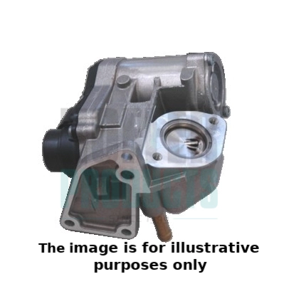 EGR Valve (WG1893396)