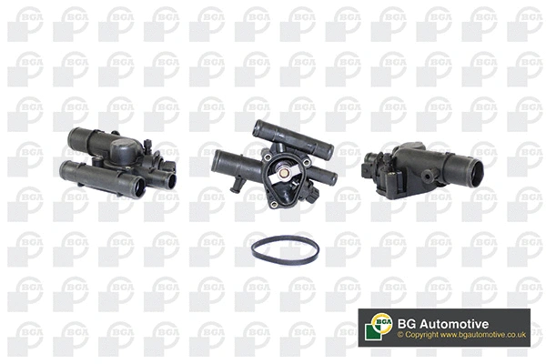 Thermostat, coolant (WG1760422)