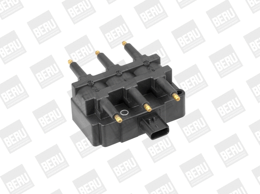Ignition Coil (WG1487487)