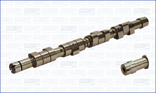 Camshaft (WG1170780)