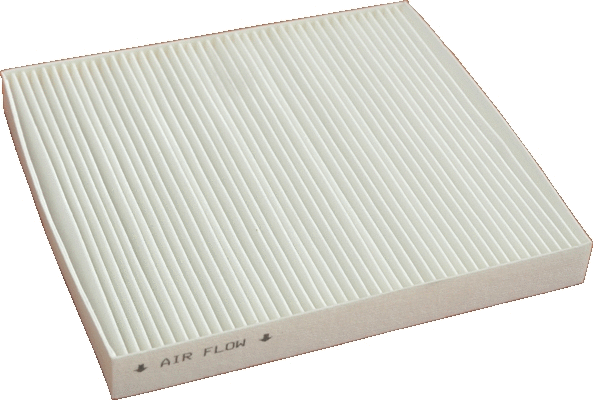 Filter, cabin air (WG1747263)