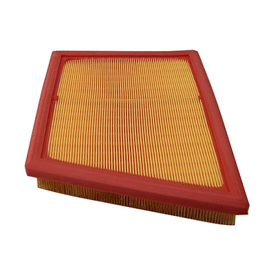 Air Filter (WG2152166)