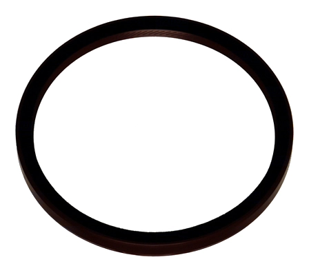 Shaft Seal, crankshaft (WG1766576)