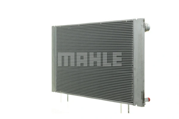Radiator, engine cooling (WG2183776)