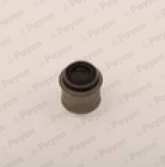 Seal Ring, valve stem (WG1184686)