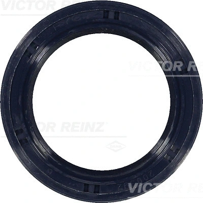 Shaft Seal, camshaft (WG1250558)