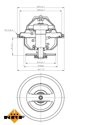 Thermostat, coolant (WG2184795)