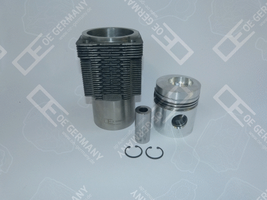 Repair Set, piston/sleeve (WG1485553)