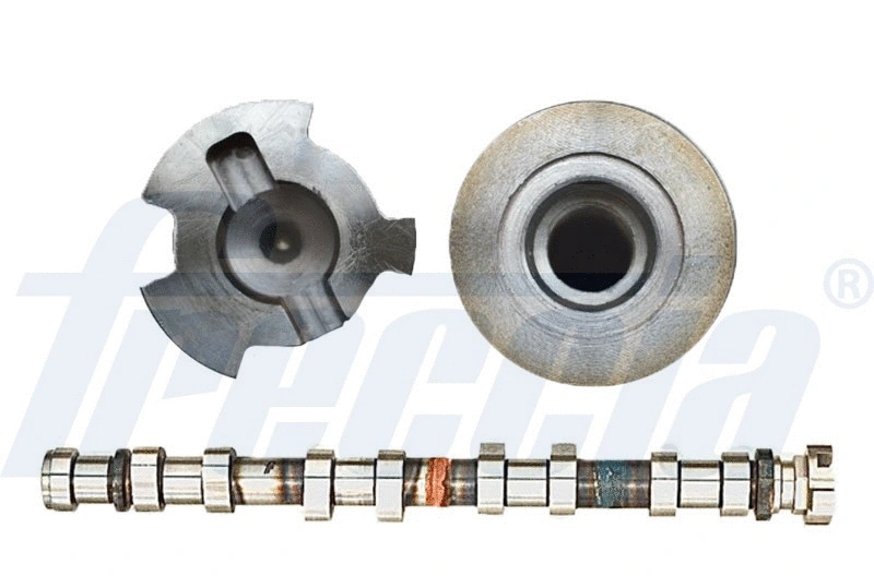 Camshaft (WG2046934)