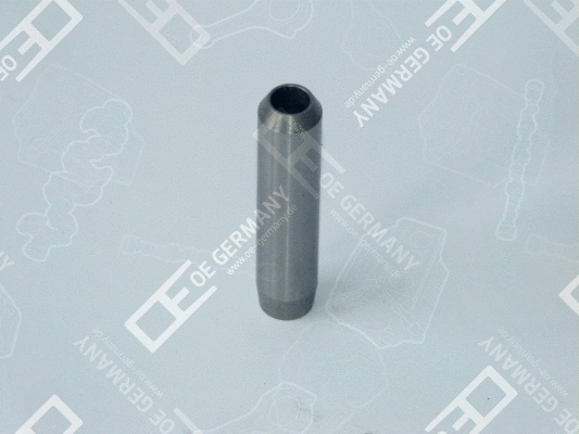 Valve Guide (WG1485326)