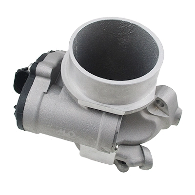 EGR Valve (WG2042777)