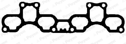 Gasket, intake manifold (WG1182065)
