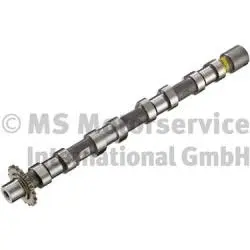Camshaft (WG1924837)