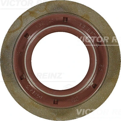 Shaft Seal, camshaft (WG1250217)