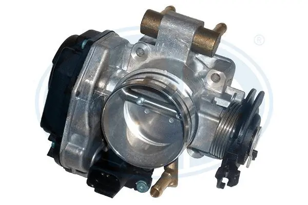 Throttle Body (WG1494953)