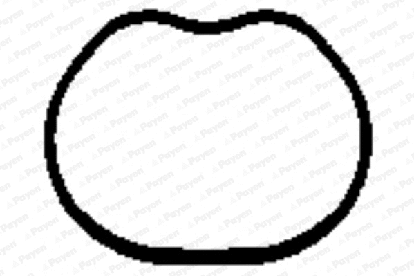 Gasket, intake manifold (WG1181986)