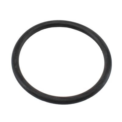 Seal, thermostat (WG2196063)