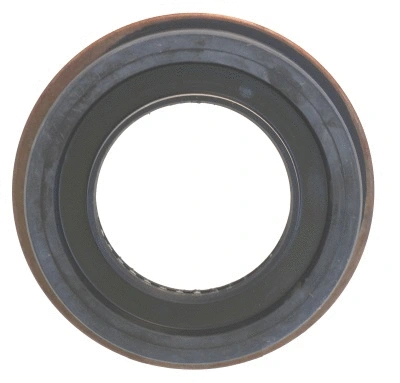 Shaft Seal, differential