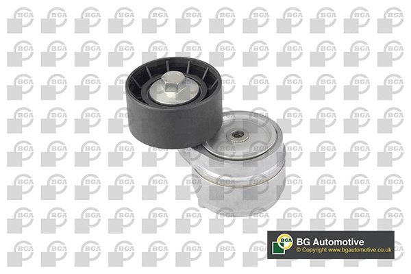 Tensioner Lever, V-ribbed belt (WG1907431)
