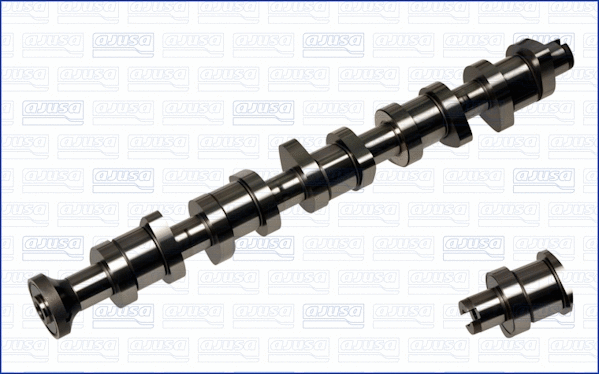 Camshaft (WG1456850)