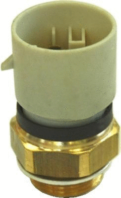 Temperature Switch, radiator fan (WG1748982)