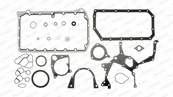 Gasket Kit, crankcase (WG1180206)
