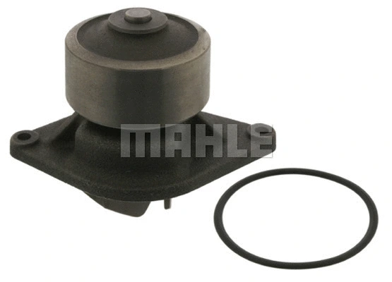 Water Pump, engine cooling (WG2181876)