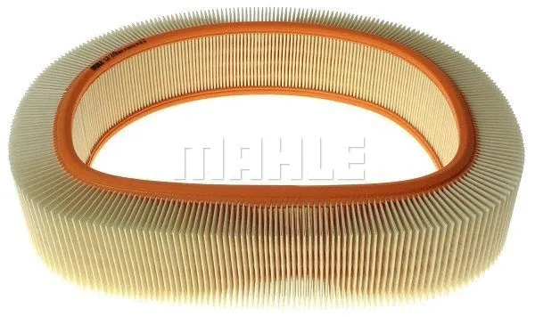 Air Filter (WG1216303)