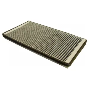 Filter, cabin air (WG1774475)