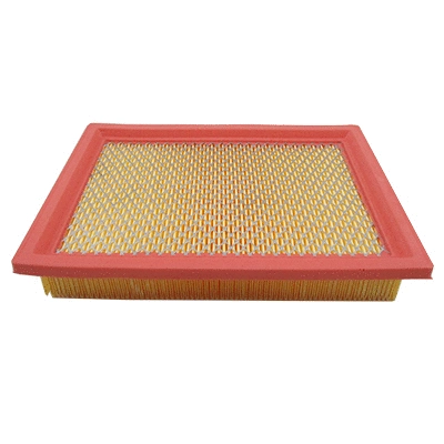 Air Filter (WG2042677)