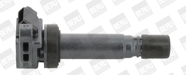 Ignition Coil (WG1940719)