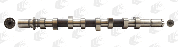 Camshaft (WG1093069)