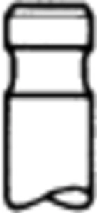 Intake Valve (WG1015806)