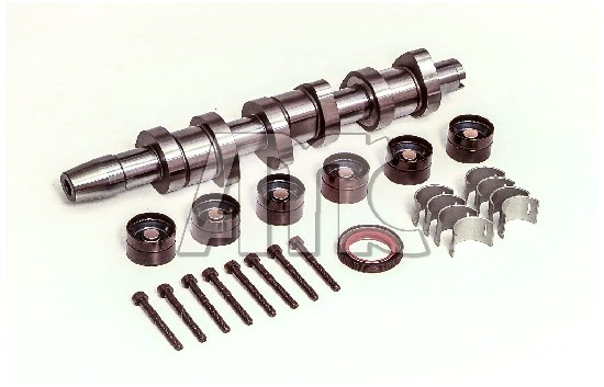 Camshaft Kit (WG2010633)