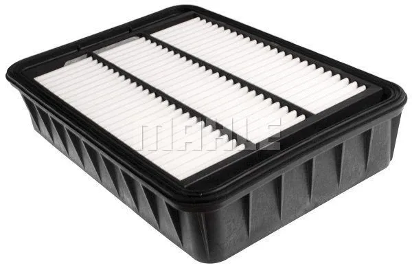 Air Filter (WG1216250)