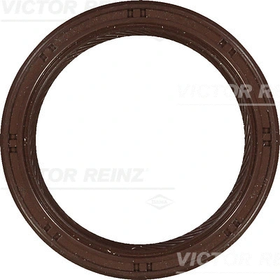Shaft Seal, crankshaft (WG1250071)