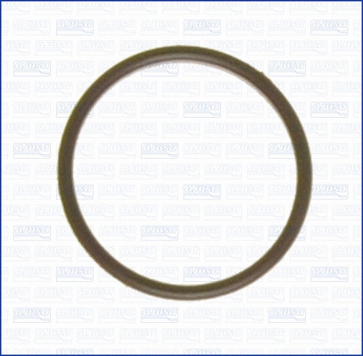 Gasket, intake manifold (WG1161749)