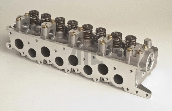 Cylinder Head (WG1011313)