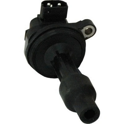 Ignition Coil (WG1012473)
