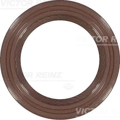 Shaft Seal, camshaft (WG1249897)