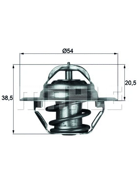 Thermostat, coolant (WG1261792)