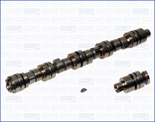 Camshaft (WG1170716)