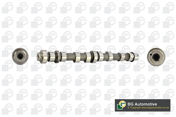 Camshaft (WG1490631)