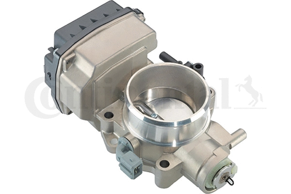 Throttle Body (WG1032732)