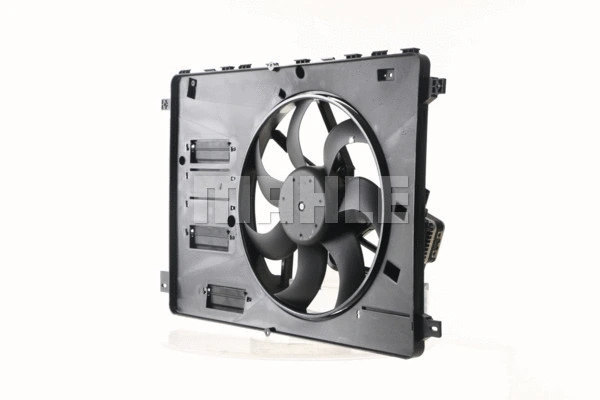Fan, engine cooling