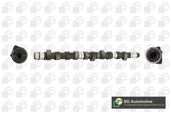 Camshaft (WG1490474)